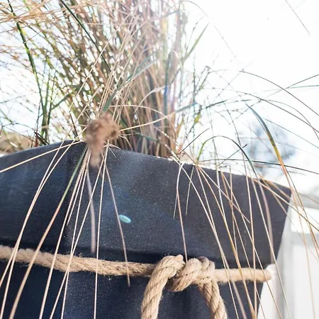 _von Witte_ Lindenstr_13 Whg_6 *